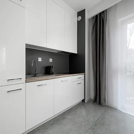 Nowoczesny Z Balkonem W Centrum By Renters Vratislav